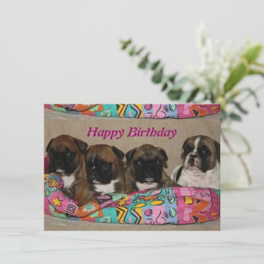 Invitation Anniversaire de Bouledogues Français  (Debout devant)