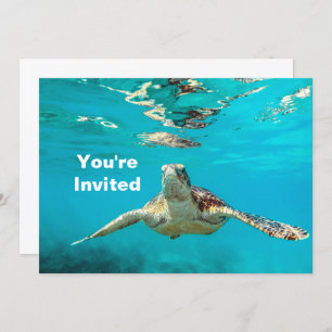 Invitation Anniversaire de la tortue de mer