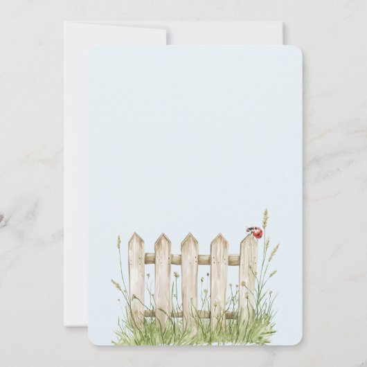 Invitation Anniversaire de Ladybugs (Dos)