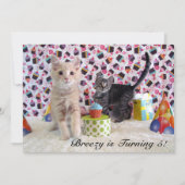 Invitation Anniversaire de Patton et Buffington (chat/ chaton (Devant)