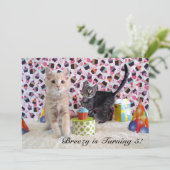 Invitation Anniversaire de Patton et Buffington (chat/ chaton (Debout devant)