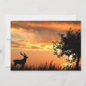 Invitation Anniversaire du coucher du soleil de ce (Dos)