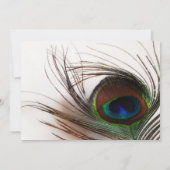 Invitation Anniversaire du Mariage de plume de paon (Dos)