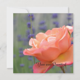 Invitation Anniversaire du rose et de la lavande