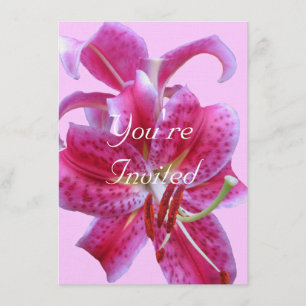 Invitation Anniversaire—Plan Des Stargazers