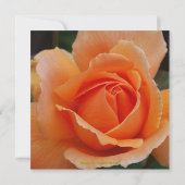 Invitation Anniversaire rose d'orange de Quinceanera (Dos)