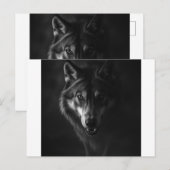 Invitation & Annonce  (Devant / Derrière)