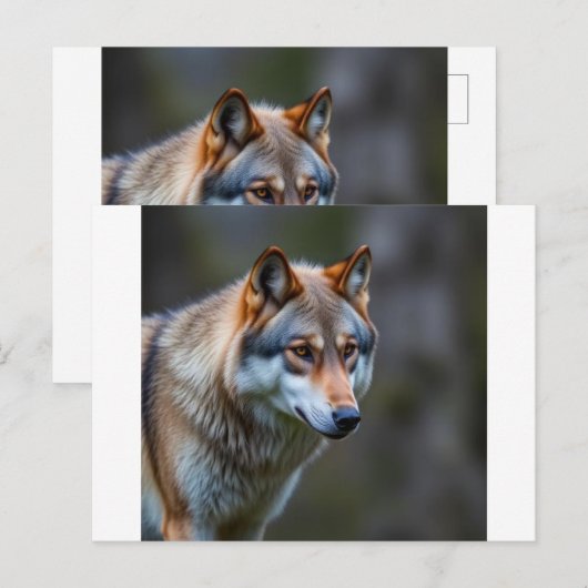 Invitation & Annonce  (Devant / Derrière)