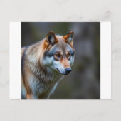 Invitation & Annonce  (Devant)