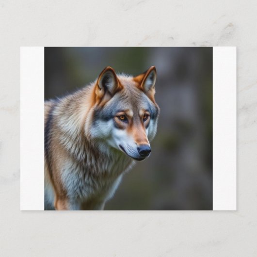 Invitation & Annonce (Devant)