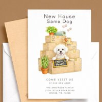 Annonce de déménagement de Bichon Frise à nouvelle