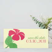 Invitation Annonce de mise à jour de Hibiscus (Debout devant)