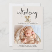 Invitation Annonce de naissance de bébé Animaux de la nurseri (Devant)