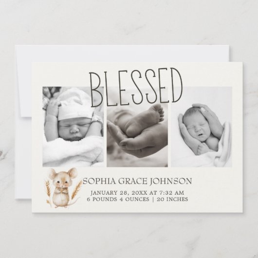 Invitation Annonce de naissance de bébé Animaux de la petite  (Devant)