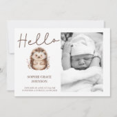 Invitation Annonce de naissance de bébé au hérisson mignon (Devant)