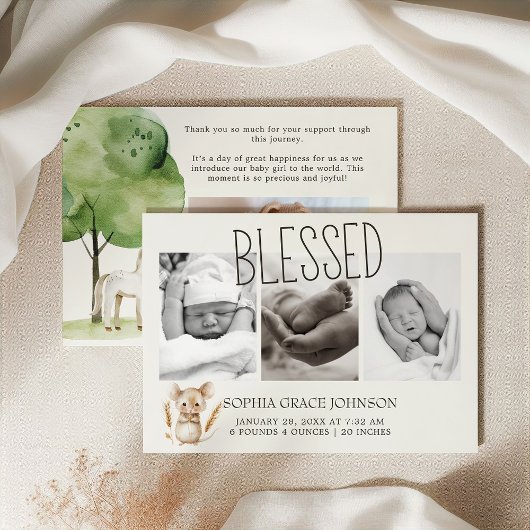 Invitation Annonce de naissance de bébé aux animaux de la pet