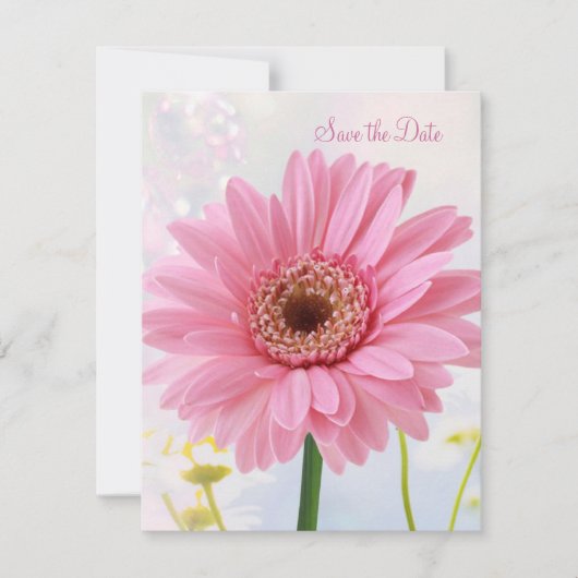 Invitation Annonce de sauvegarde de date - Gerbera rose (Devant)