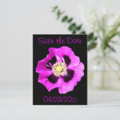 Invitation Annonce "Save the Date" Pavot d'Orient noir (Debout devant)