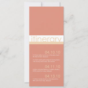 Invitation Annonces Itinéraires De Deux Mariées