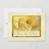 Invitation Annonces Narcisse (Devant)