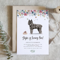 Aquarelle Bouvier des Flandres