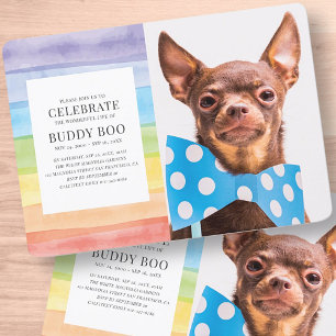 Invitation Aquarelle moderne Rainbow Strips Pet Memorial