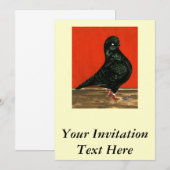 Invitation Aquarelle noire de Pigeon (Devant / Derrière)