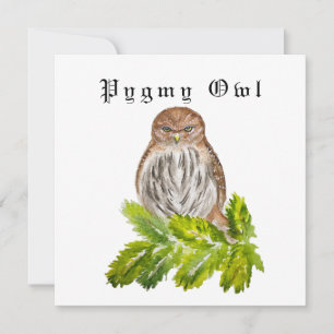 Invitation Aquarelle Saw Whet Cute Little Owls