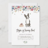 Invitation Aquarelle vintage Boston Terrier Chien Anniversair (Devant)