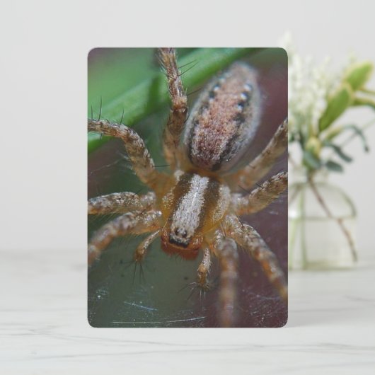 Invitation Araignée énorme (Debout devant)