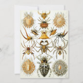 Invitation Araignées (Devant)