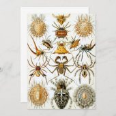 Invitation Araignées ou arachnides vintages par Ernst Haeckel (Devant / Derrière)