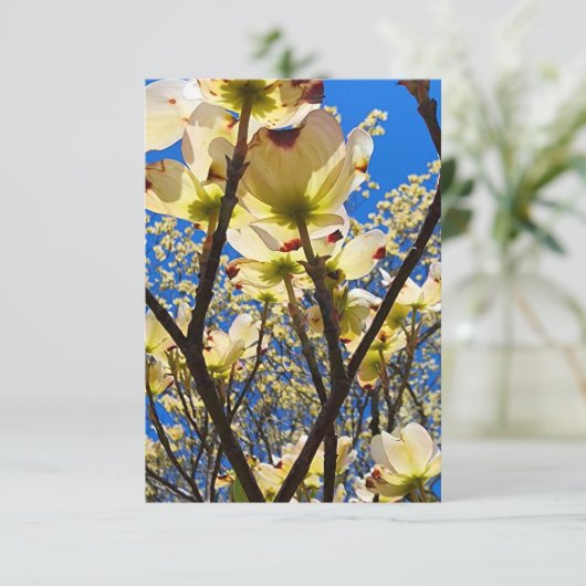 Invitation Arbre à chiens (Debout devant)