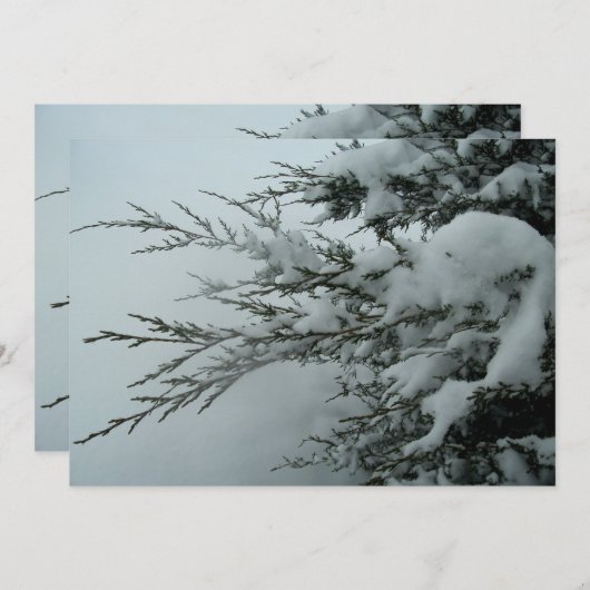 Invitation Arbre à feuillage persistant de mariage d'hiver (Devant / Derrière)