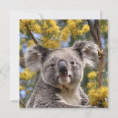 Invitation Arbre À Fleurs Jaunes Avec Koala, (Dos)