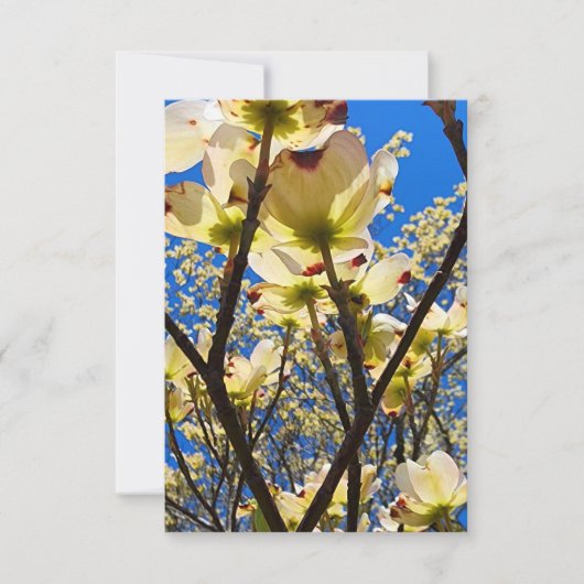 Invitation Arbre Cornouiller (Devant)