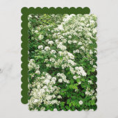 Invitation Arbuste de fleurs Spirea (Devant / Derrière)