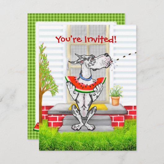 Invitation Arlequin Great Dane SPIT (Devant / Derrière)