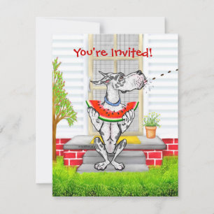 Invitation Arlequin Great Dane SPIT