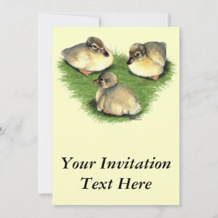 Invitation Arlequin plongeur gallois