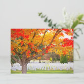 Invitation Arlington National Cemetery à Autumn (Debout devant)