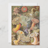 Invitation Art Deco Art Nouveau Striped Gold Tone Modern  (Dos)