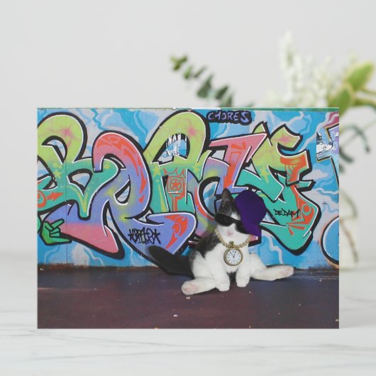 Invitation Attitude de chat.....Kitten et mur de graffitis (Debout devant)