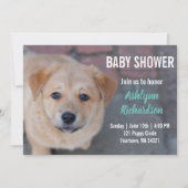 Invitation au Baby shower de chiot du laboratoire (Devant)