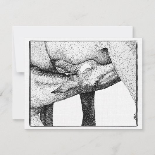 Invitation au Baby shower du poulailler (Devant)