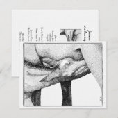 Invitation au Baby shower du poulailler (Devant / Derrière)