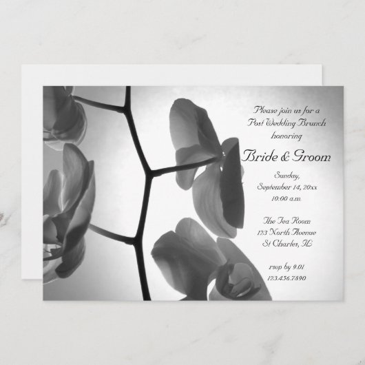 Invitation au brunch de mariage après la cérémonie (Devant / Derrière)