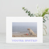 Invitation au Labrador (Debout devant)