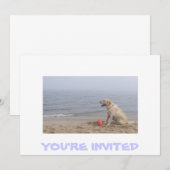 Invitation au Labrador (Devant / Derrière)