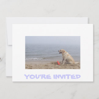 Invitation au Labrador